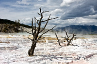Yellowstone Thermal Areas