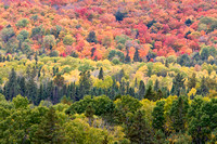 Fall Color Ontario Plus MN, MI & WI