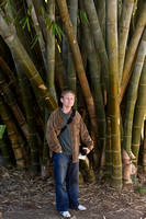 1363 Bunch Bamboo